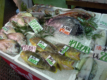 080513-02.jpg