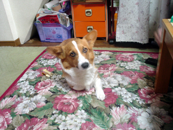 080514-11.jpg
