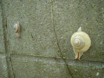 070517-01.JPG