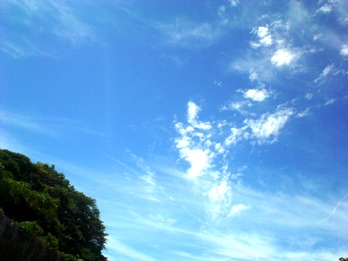 100720-01.JPG